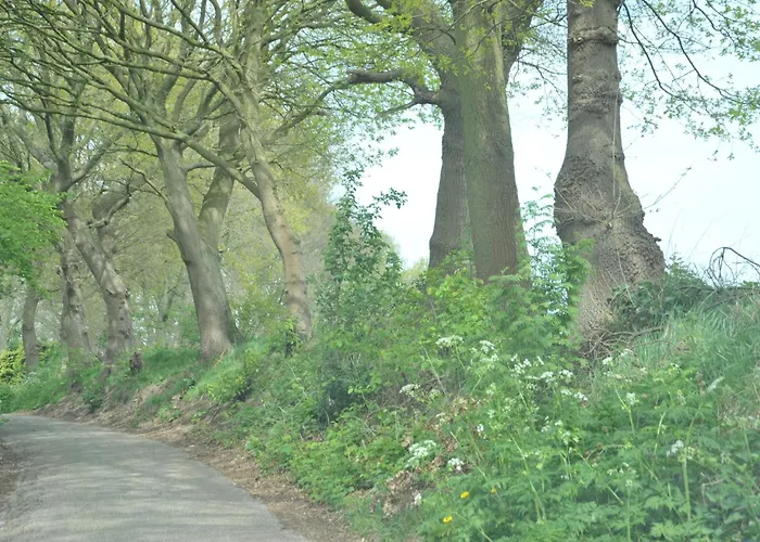 Op De Brabantse Wal 4*